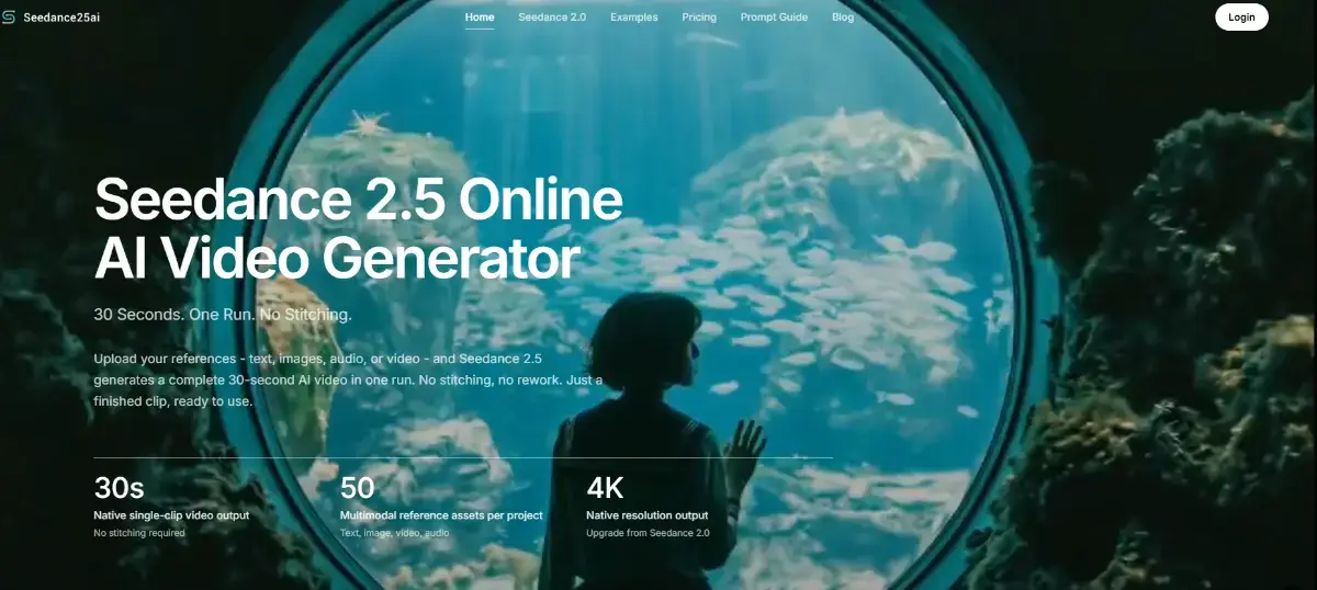 Seedance 25  Video Generator image number 11