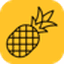 Pineapple Builder
